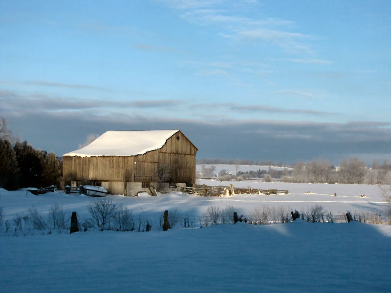 Barns